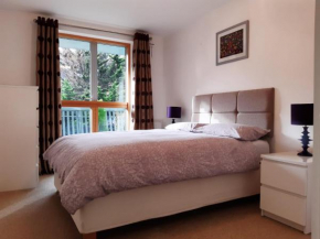 Stylish Wembley Stadium and OVO Arena Apartment, London